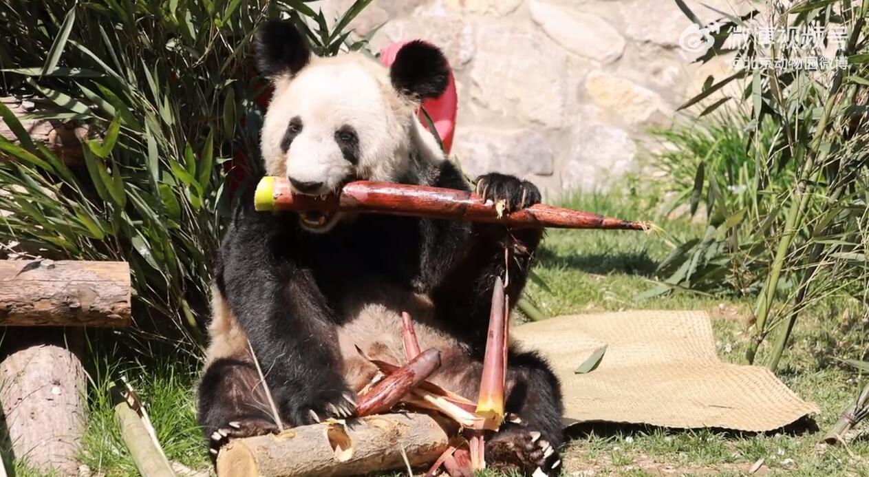 qq截图20240426143940