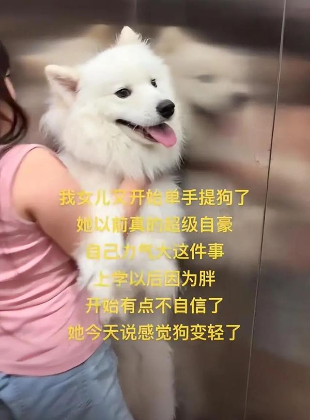 先天力量圣体的小姑娘去学游泳了 傅园慧:她的天赋是顶级啊